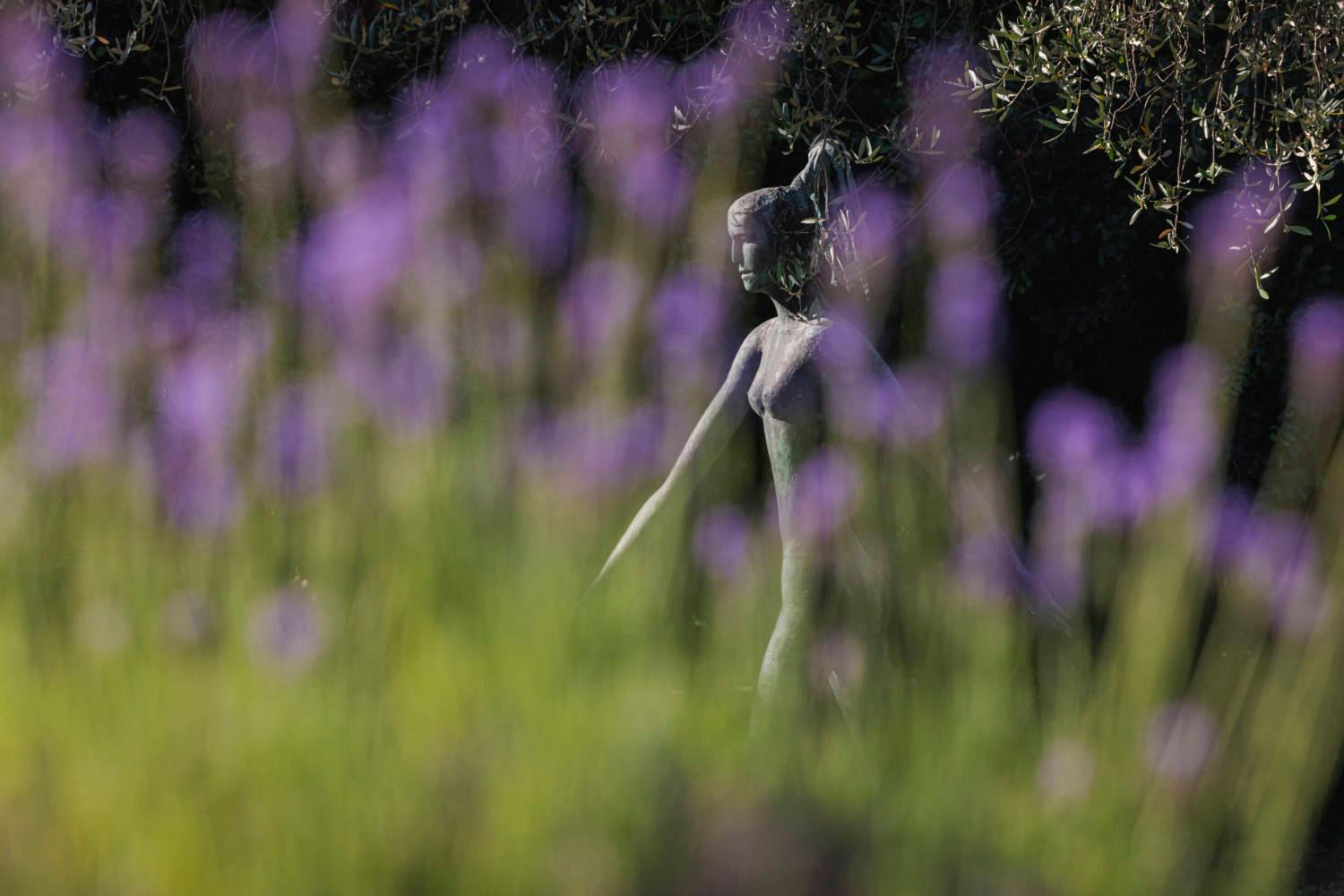 Hotel Du Clos Le Rouret Dış mekan fotoğraf